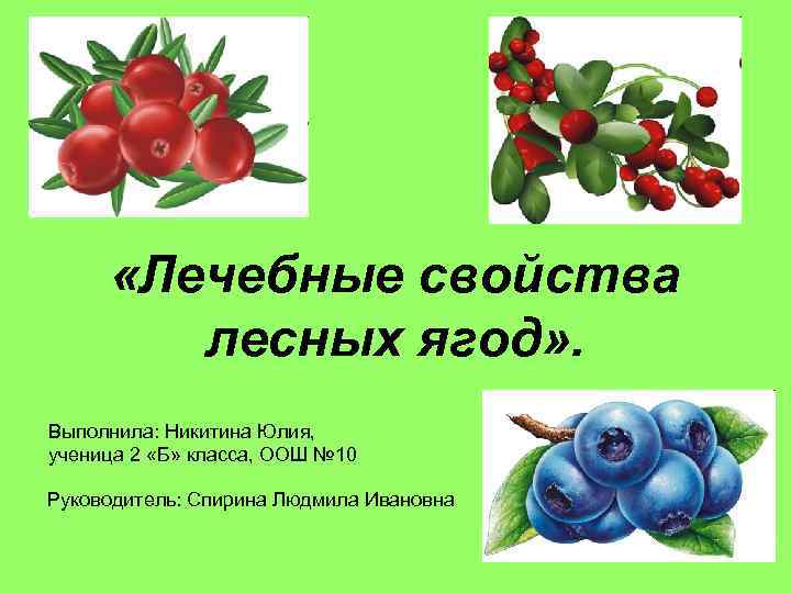  «Лечебные свойства лесных ягод» . Выполнила: Никитина Юлия, ученица 2 «Б» класса, ООШ