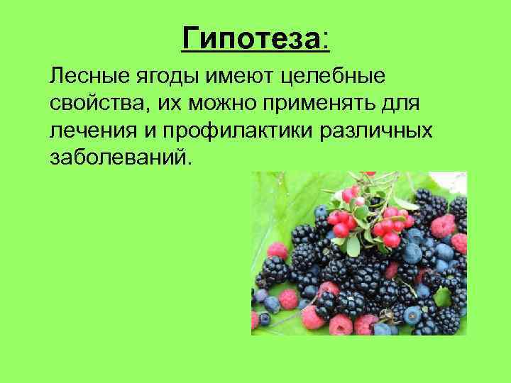 Гипотеза: Лесные ягоды имеют целебные свойства, их можно применять для лечения и профилактики различных