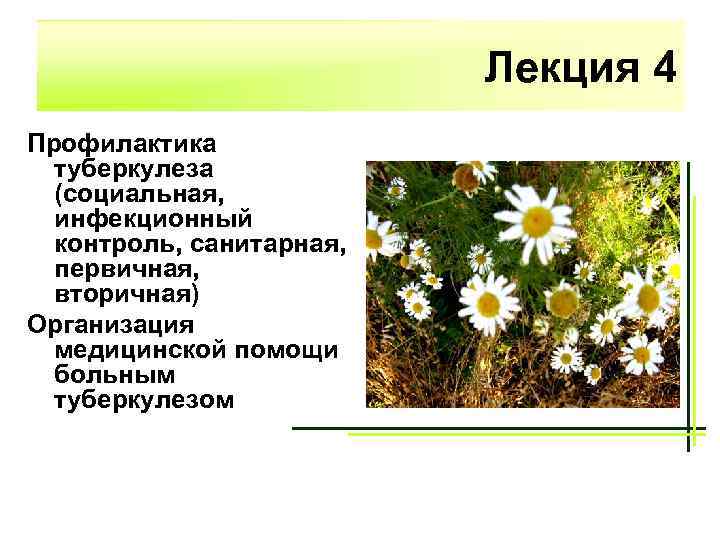 Лекция 4 Профилактика туберкулеза (социальная, инфекционный контроль, санитарная, первичная, вторичная) Организация медицинской помощи больным