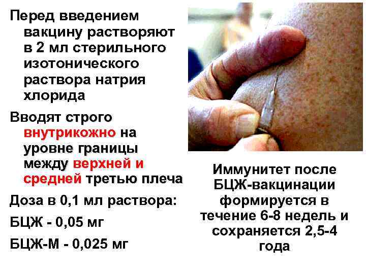 Перед введением вакцину растворяют в 2 мл стерильного изотонического раствора натрия хлорида Вводят строго