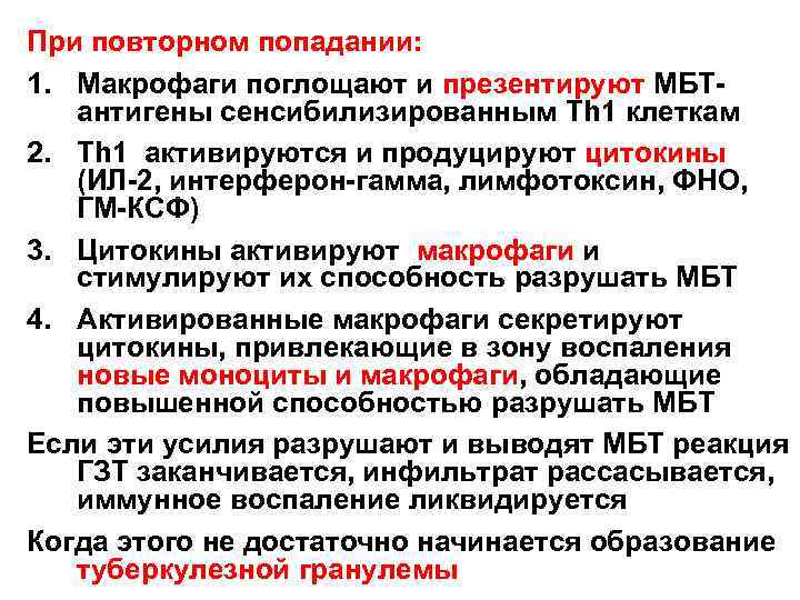 При повторном попадании: 1. Макрофаги поглощают и презентируют МБТантигены сенсибилизированным Тh 1 клеткам 2.