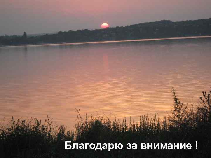 Благодарю за внимание ! 