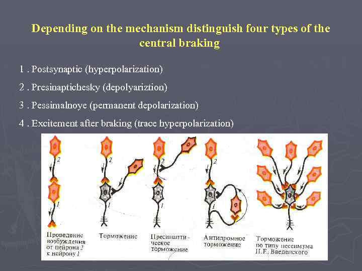 Depending on the mechanism distinguish four types of the central braking 1. Postsynaptic (hyperpolarization)
