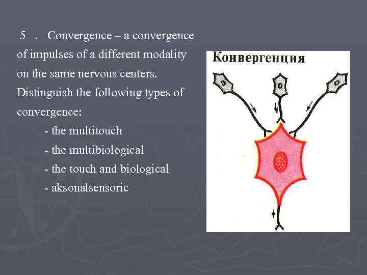 5. Convergence – a convergence of impulses of a different modality on the same