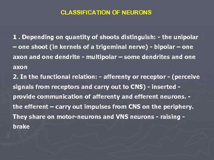 CLASSIFICATION OF NEURONS 1. Depending on quantity of shoots distinguish: - the unipolar –