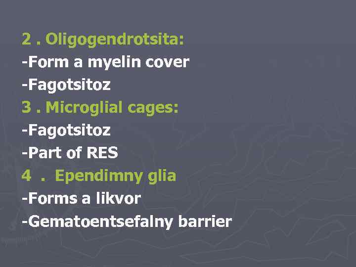2. Oligogendrotsita: -Form a myelin cover -Fagotsitoz 3. Microglial cages: -Fagotsitoz -Part of RES