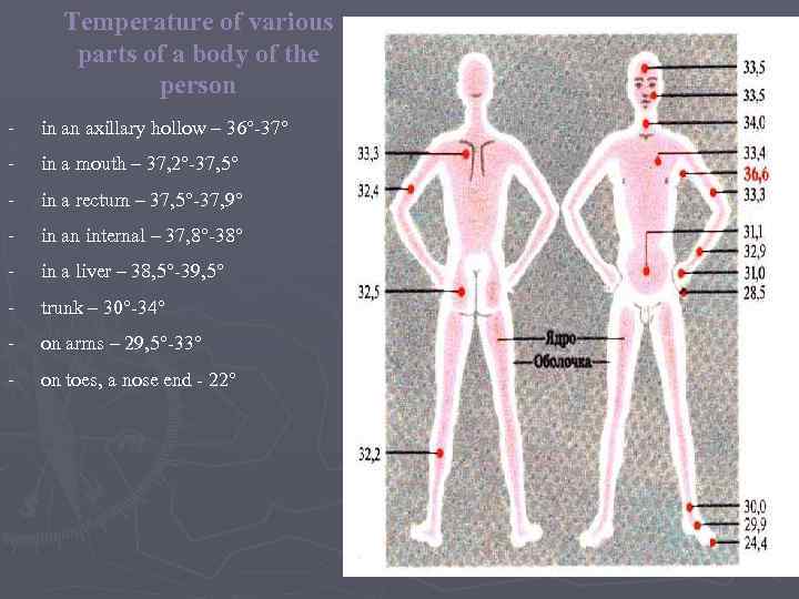 Temperature of various parts of a body of the person - in an axillary