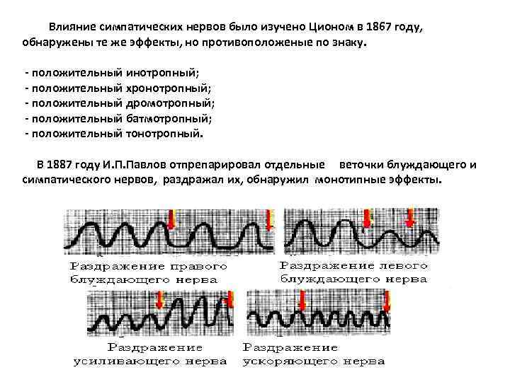 Влияние симпатических нервов было изучено Ционом в 1867 году, обнаружены те же эффекты, но