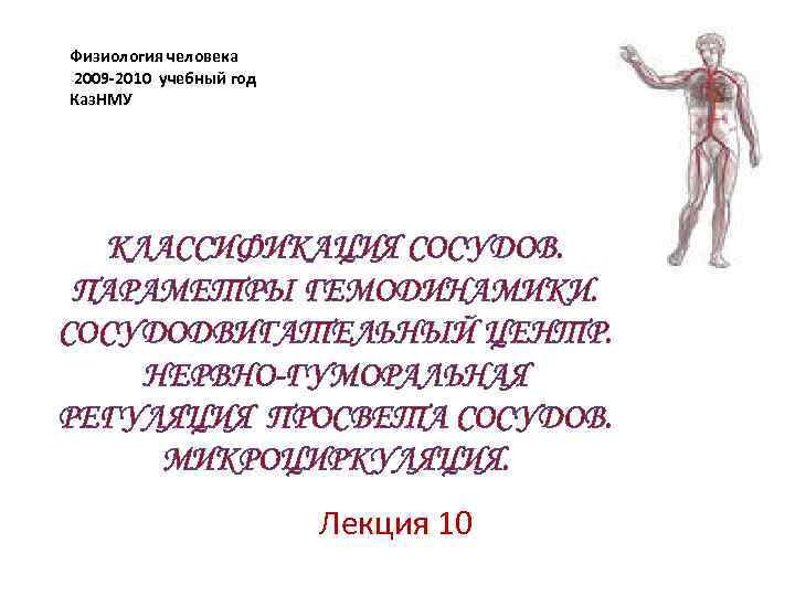 Физиология человека 2009 -2010 учебный год Каз. НМУ КЛАССИФИКАЦИЯ СОСУДОВ. ПАРАМЕТРЫ ГЕМОДИНАМИКИ. СОСУДОДВИГАТЕЛЬНЫЙ ЦЕНТР.