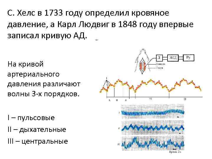 С. Хелс в 1733 году определил кровяное давление, а Карл Людвиг в 1848 году