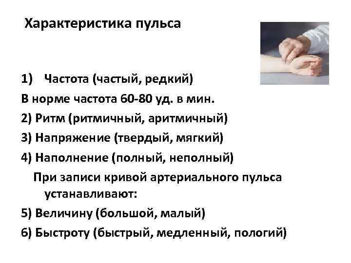 Характеристика пульса 1) Частота (частый, редкий) В норме частота 60 -80 уд. в мин.