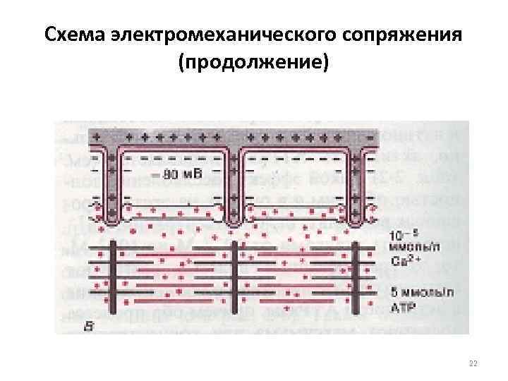 Схема электромеханического сопряжения (продолжение) 22 