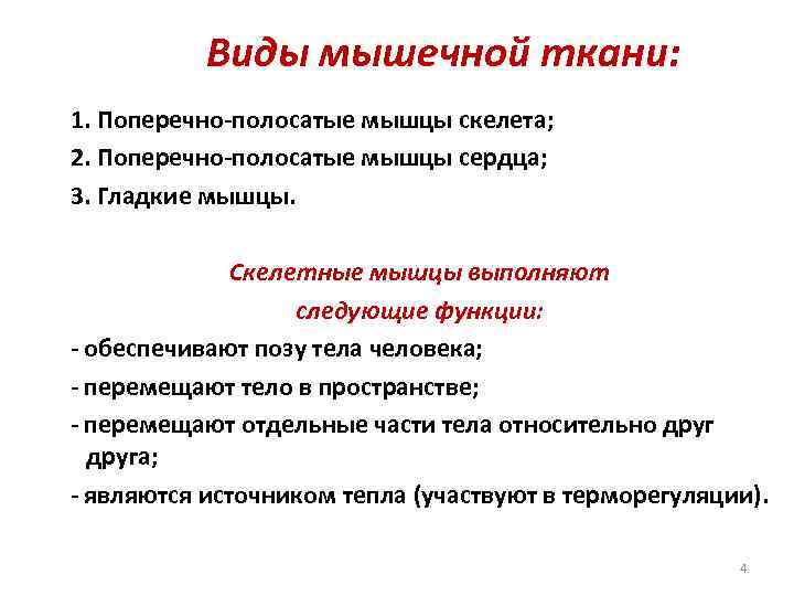 Виды мышечной ткани: 1. Поперечно-полосатые мышцы скелета; 2. Поперечно-полосатые мышцы сердца; 3. Гладкие мышцы.