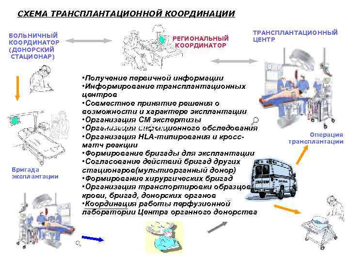  СХЕМА ТРАНСПЛАНТАЦИОННОЙTool to Expand the Donor Pool Belgian Experence Using MP as a