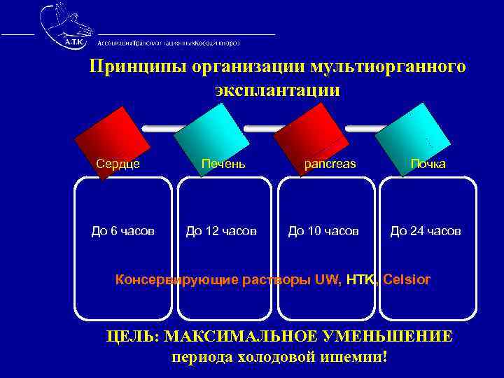 Принципы организации мультиорганного эксплантации Сердце Печень pancreas Почка До 6 часов До 12 часов
