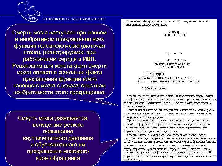 Смерть мозга наступает при полном и необратимом прекращении всех функций головного мозга (включая ствол),