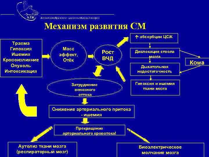  Механизм развития СМ абсорбции ЦСЖ Травма Гипоксия Масс Ишемия эффект, Рост Дислокация ствола
