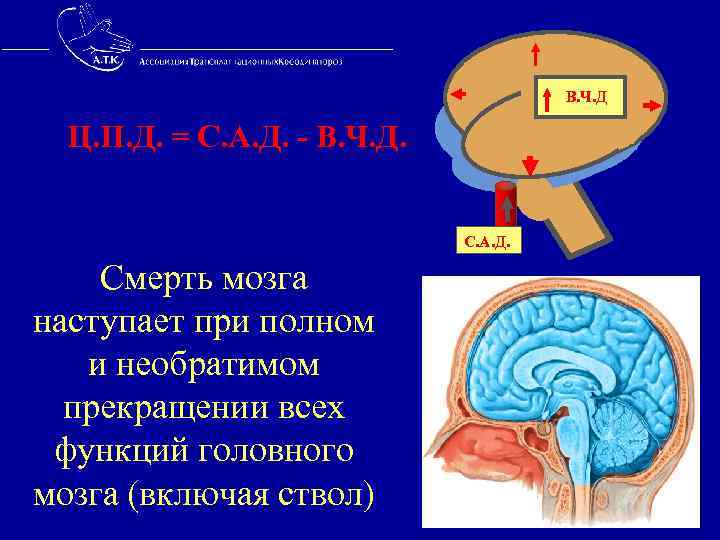  В. Ч. Д Ц. П. Д. = С. A. Д. - В. Ч.