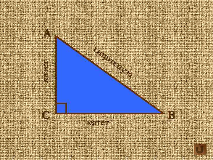 катет А С ги по те ну за катет В 