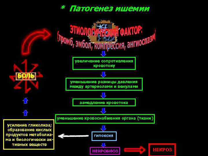 * Патогенез ишемии увеличение сопротивления кровотоку БОЛЬ уменьшение разницы давления между артериолами и венулами