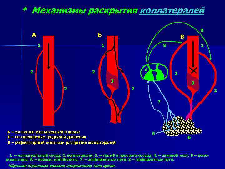 Раскрывает механизм