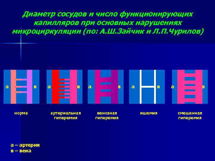 Диаметр сосудов и число функционирующих капилляров при основных нарушениях микроциркуляции (по: А. Ш. Зайчик