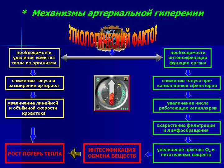 * Механизмы артериальной гиперемии необходимость удаления избытка тепла из организма необходимость интенсификации функции органа