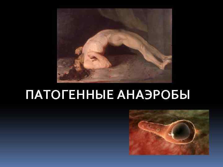 ПАТОГЕННЫЕ АНАЭРОБЫ 