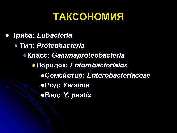 Триба это. Класс порядок семейство Enterobacteriaceae. Семейство Enterobacteriaceae таксономия. Таксономия энтеробактерий (Тип, класс, порядок, семейство):. Энтеробактерии таксономия.