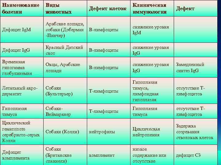 Наименование болезни Виды животных Клиническая иммунология Дефект Дефицит Ig. M Арабские лошади, собаки (Доберман