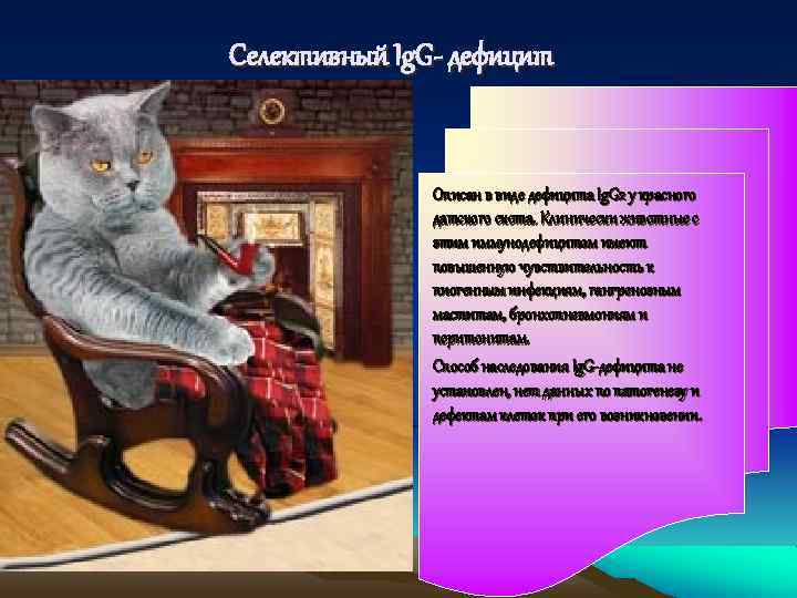 Селективный Ig. G- дефицит Описан в виде дефицита Ig. G 2 у красного датского