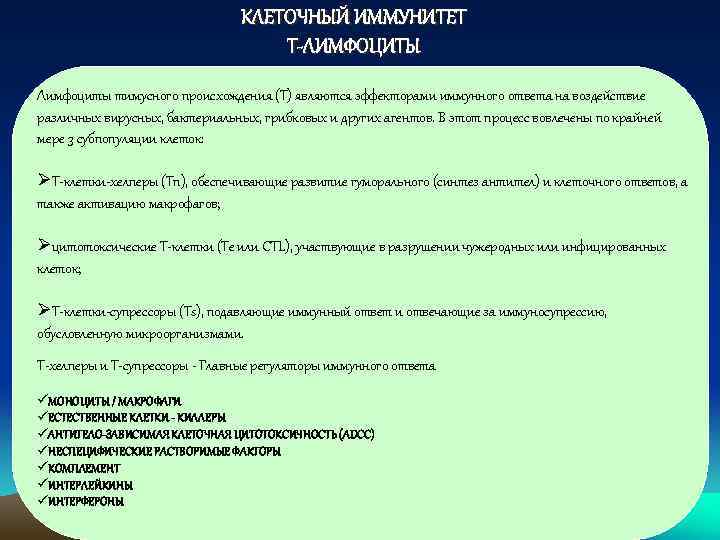 КЛЕТОЧНЫЙ ИММУНИТЕТ Т-ЛИМФОЦИТЫ Лимфоциты тимусного происхождения (Т) являются эффекторами иммунного ответа на воздействие различных