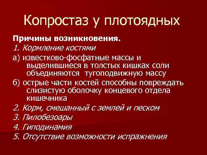 Копростаз у плотоядных Причины возникновения. 1. Кормление костями а) известково-фосфатные массы и выделившиеся в