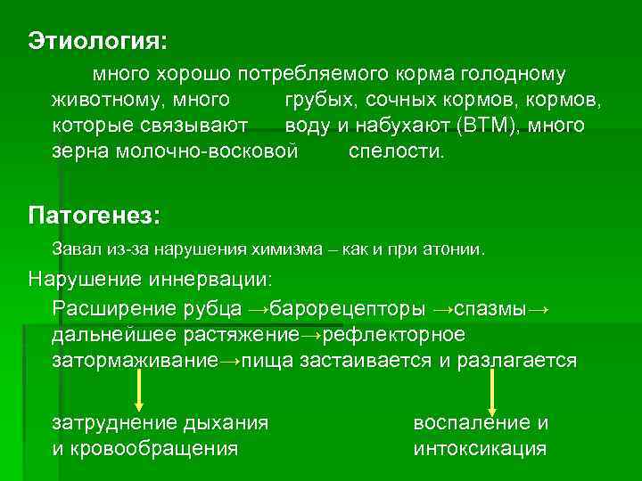 Этиология: много хорошо потребляемого корма голодному животному, много грубых, сочных кормов, которые связывают воду