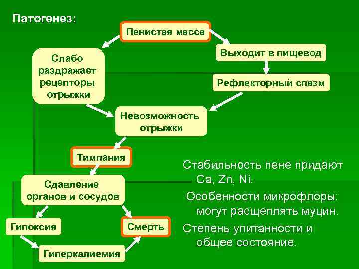 Патогенез: Пенистая масса Выходит в пищевод Слабо раздражает рецепторы отрыжки Рефлекторный спазм Невозможность отрыжки