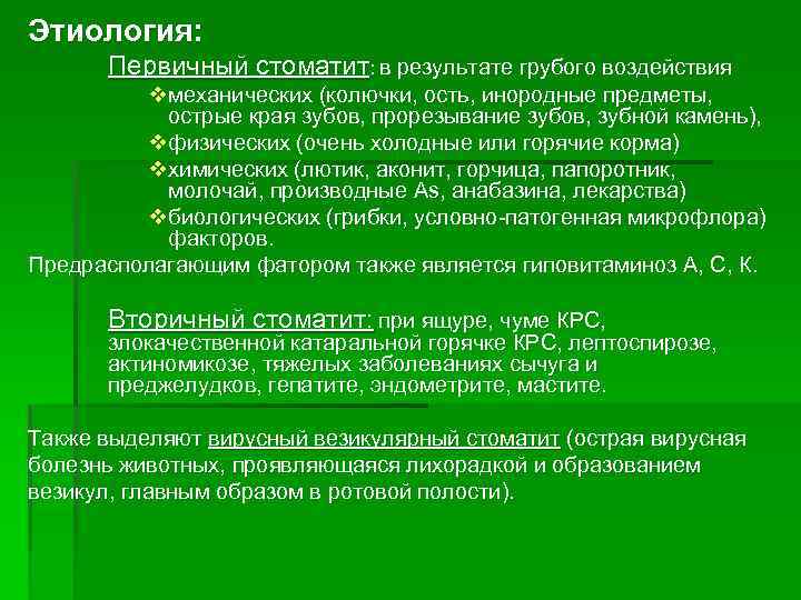 Этиология: Первичный стоматит: в результате грубого воздействия vмеханических (колючки, ость, инородные предметы, острые края