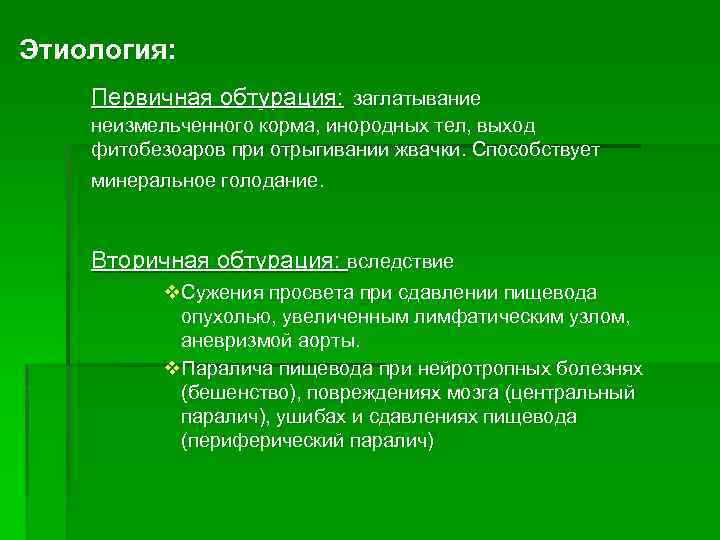 Этиология: Первичная обтурация: заглатывание неизмельченного корма, инородных тел, выход фитобезоаров при отрыгивании жвачки. Способствует