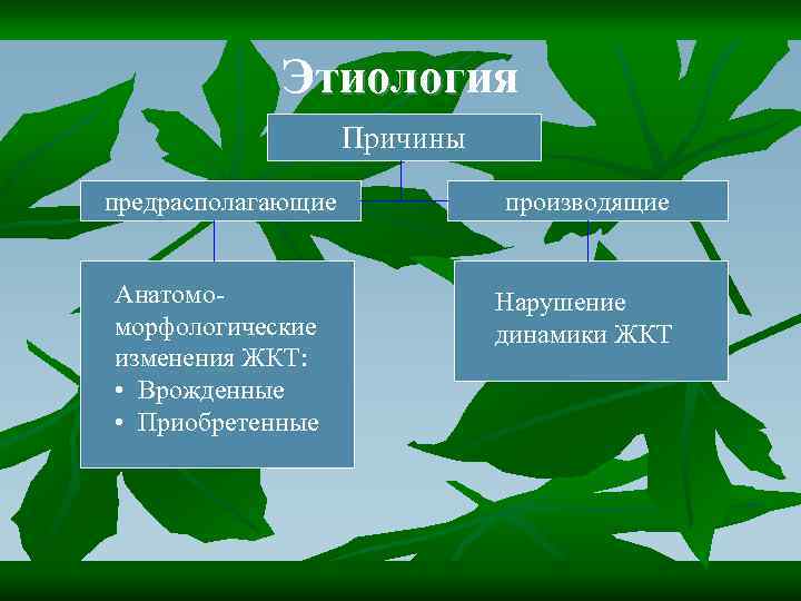 Этиология Причины предрасполагающие производящие Анатомоморфологические изменения ЖКТ: • Врожденные • Приобретенные Нарушение динамики ЖКТ