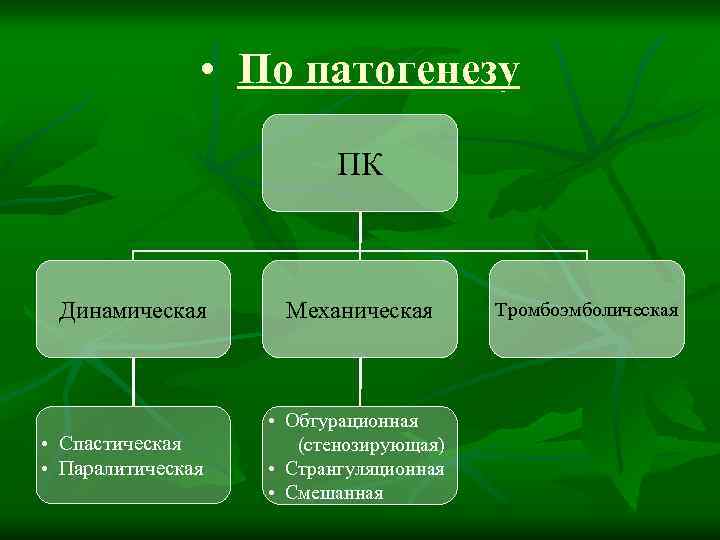  • По патогенезу ПК Динамическая • Спастическая • Паралитическая Механическая • Обтурационная (стенозирующая)