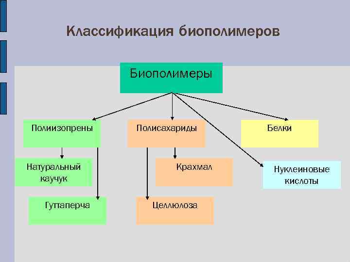 К полимерам относятся. Классификация биополимеров. Классификация биополимеров схема. Классификация биологических полимеров. Основные типы биополимеров.