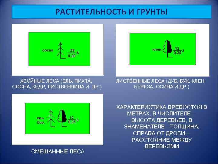 Хвойный лес план местности