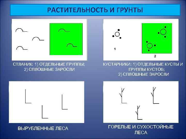 РАСТИТЕЛЬНОСТЬ И ГРУНТЫ СТЛАНИК: 1) ОТДЕЛЬНЫЕ ГРУППЫ; 2) СПЛОШНЫЕ ЗАРОСЛИ ВЫРУБЛЕННЫЕ ЛЕСА КУСТАРНИКИ: 1)