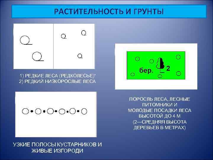 РАСТИТЕЛЬНОСТЬ И ГРУНТЫ 1) РЕДКИЕ ЛЕСА (РЕДКОЛЕСЬЕ)' 2) РЕДКИЙ НИЗКОРОСЛЫЕ ЛЕСА ПОРОСЛЬ ЛЕСА, ЛЕСНЫЕ