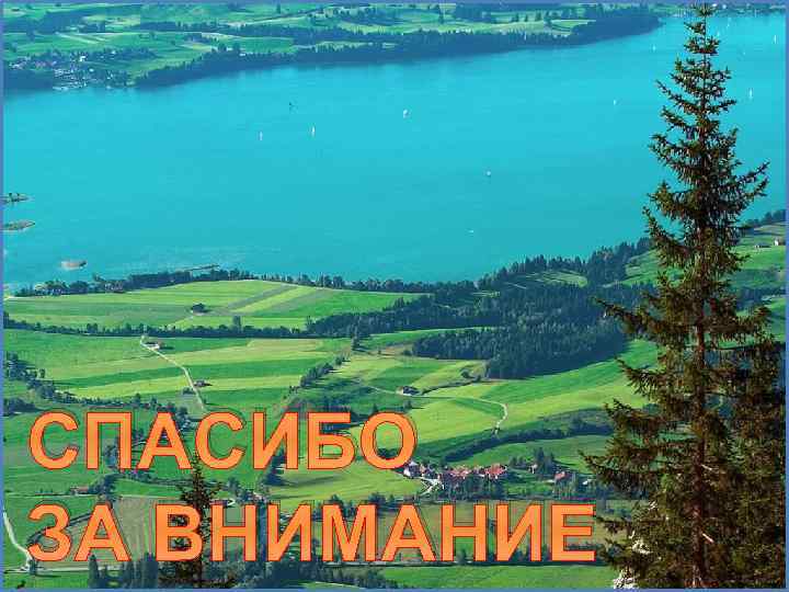 СПАСИБО ЗА ВНИМАНИЕ 