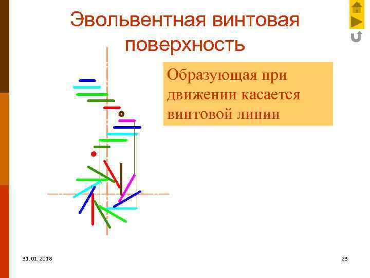 Эвольвентная винтовая поверхность Образующая при движении касается винтовой линии 31. 01. 2018 23 