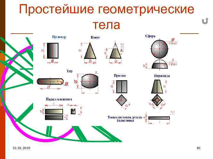 Простейшие геометрические тела Направляющая кривая Касательные прямые 31. 01. 2018 30 