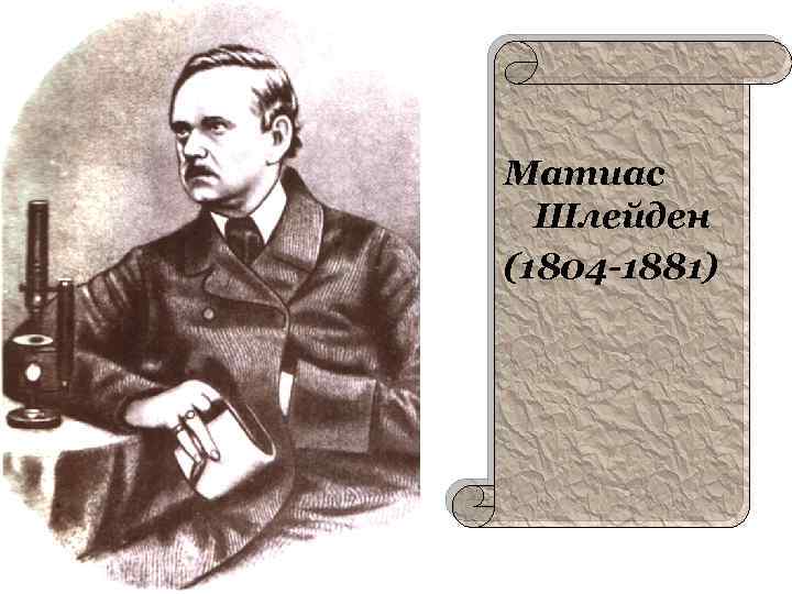 Матиас Шлейден (1804 -1881) 