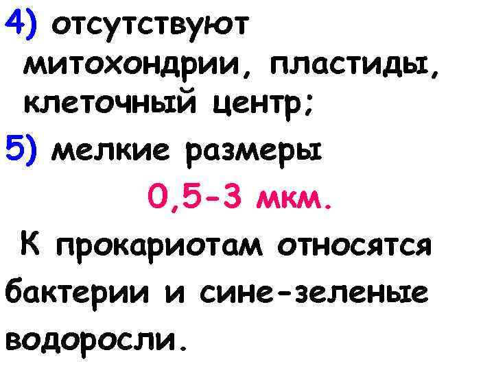 4) отсутствуют митохондрии, пластиды, клеточный центр; 5) мелкие размеры 0, 5 -3 мкм. К