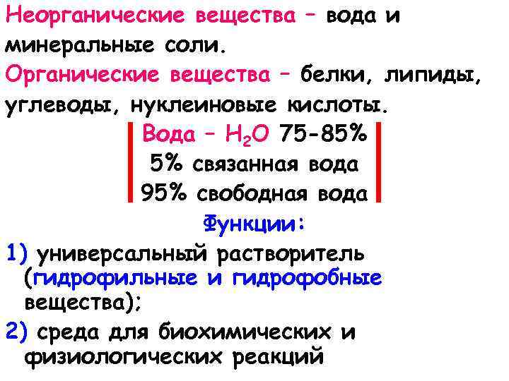 Неорганические вещества – вода и минеральные соли. Органические вещества – белки, липиды, углеводы, нуклеиновые