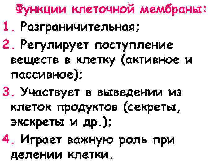 Функции клеточной мембраны: 1. Разграничительная; 2. Регулирует поступление веществ в клетку (активное и пассивное);